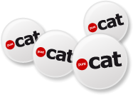 .cat punt cat